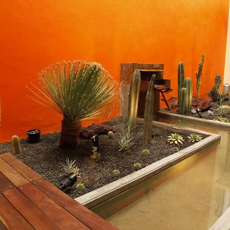 Coyoacan - Inn Meksika Dış mekan fotoğraf