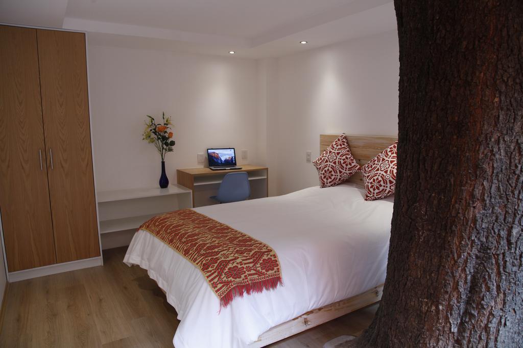 Coyoacan - Inn Meksika Dış mekan fotoğraf